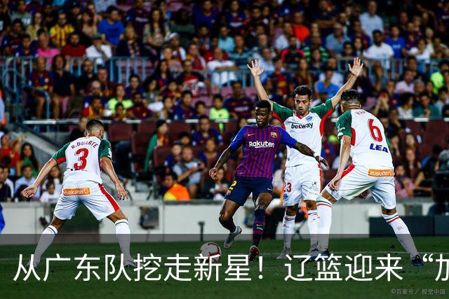 从广东队挖走新星！辽篮迎来“加强版杜润旺”，杜锋失去锋线人才